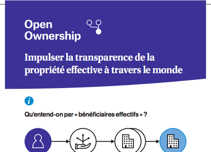 Brochure d’Open Ownership – cover image