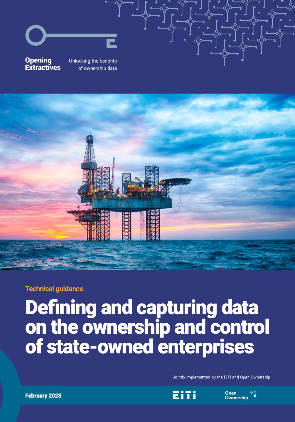 Defining and capturing data on the ownership and control of state-owned enterprises cover image