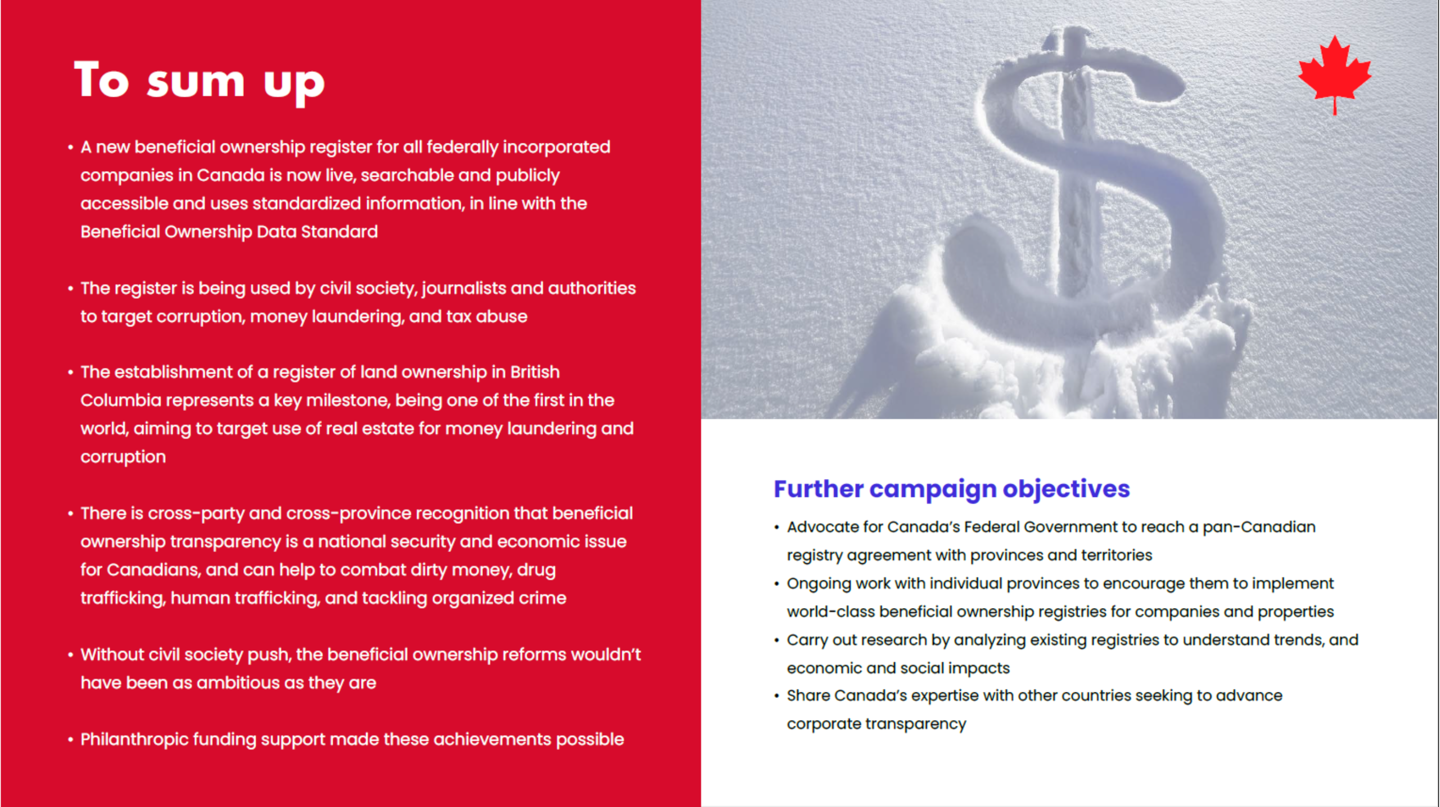 End Snow-Washing slide: Further campaign objectives